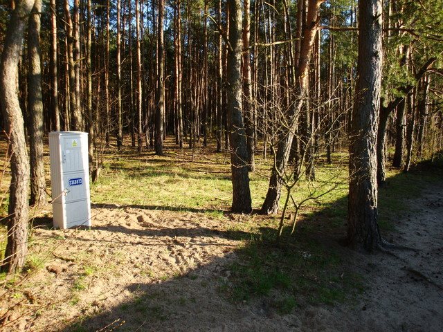 Działka budowlana na sprzedaż Otwock, Parkowa 2 000m2 Foto 1 Działka budowlana na sprzedaż Otwock, Parkowa 2 000m2 Foto 1