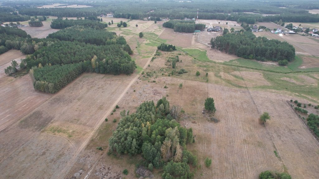 Działka rolna na sprzedaż Olszewka  3 000m2 Foto 5