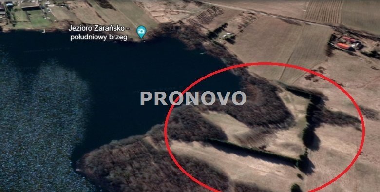 Działka rekreacyjna na sprzedaż Zarańsko  9 900m2 Foto 7