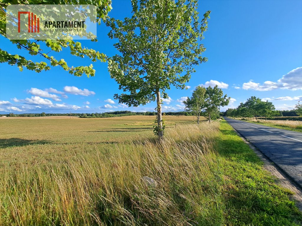 Działka budowlana na sprzedaż Odry  5 000m2 Foto 2