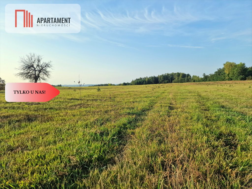 Działka budowlana na sprzedaż Czarże  1 000m2 Foto 8