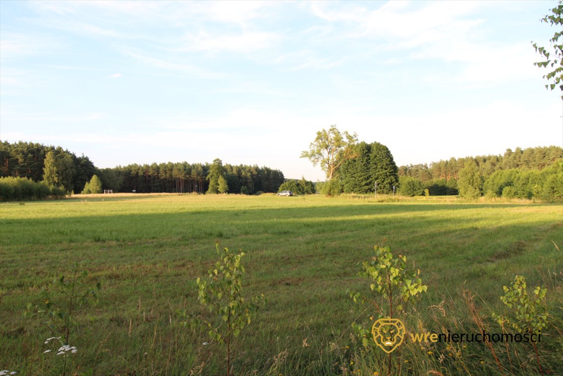 Działka przemysłowo-handlowa na sprzedaż Śliwice, Zdrojowa  47 740m2 Foto 3