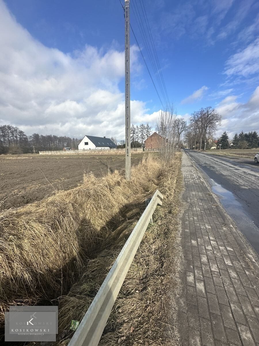 Zdjęcie 6