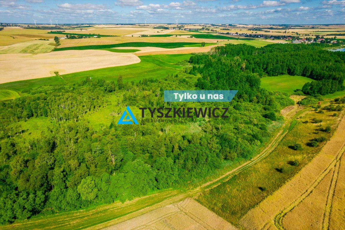 Działka rolna na sprzedaż Ciechocin  6 400m2 Foto 1