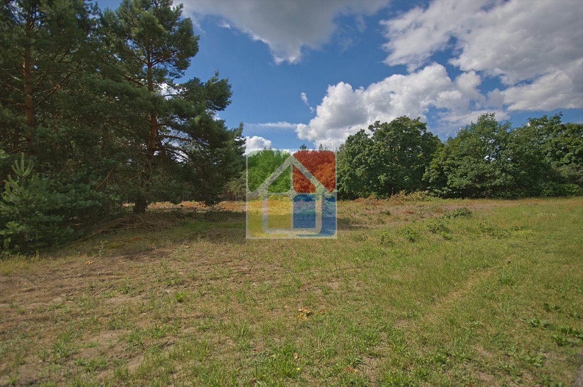 Malownicza działka 29 400 m² z lasem i planem zagospodarowania Nowy Duninów  29 400m2 Foto 1