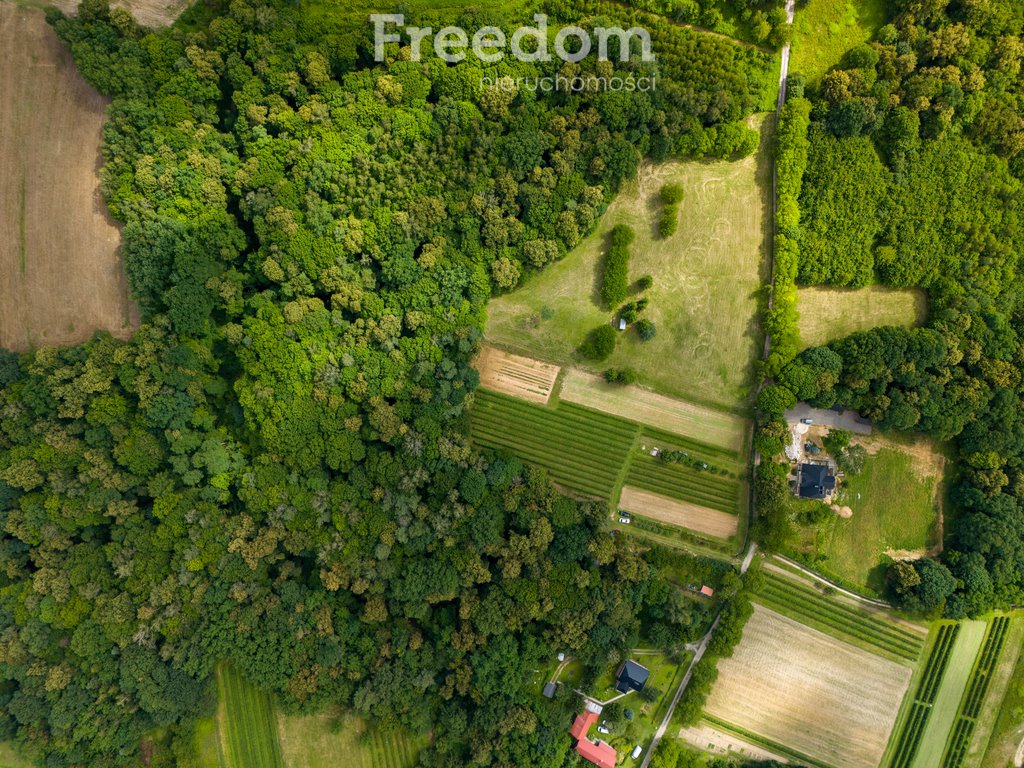 Działka budowlana na sprzedaż Kazimierz Dolny  25 821m2 Foto 1