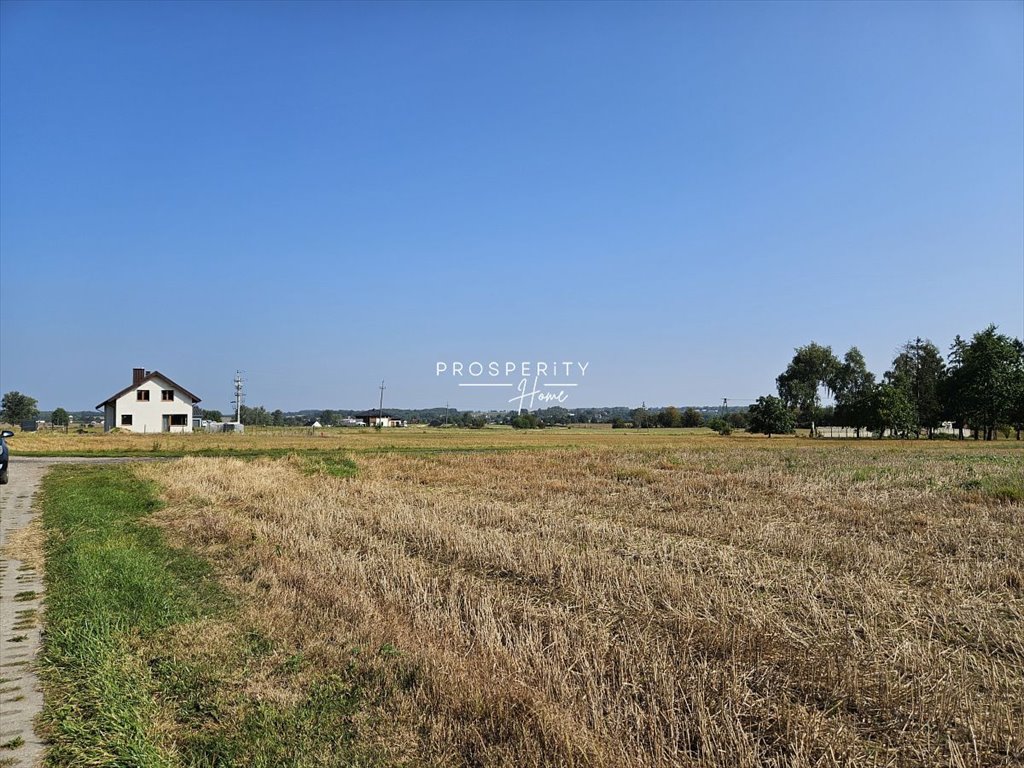 Działka budowlana na sprzedaż Rębiska, Jodłowa  1 004m2 Foto 7