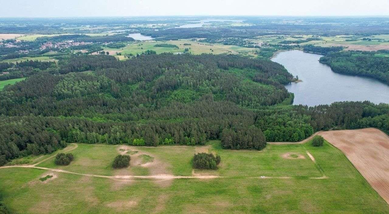 Działka rolna na sprzedaż Nowe Krzywe  3 011m2 Foto 3