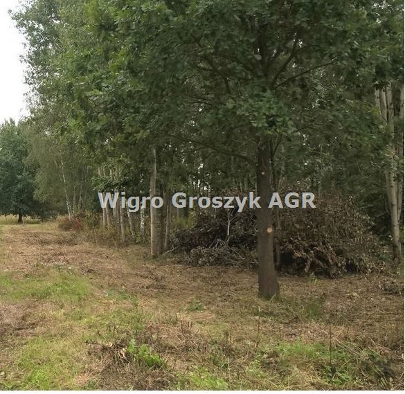 Działka 23 200 m² z możliwością zabudowy i infrastrukturą Secymin Polski  23 200m2 Foto 1