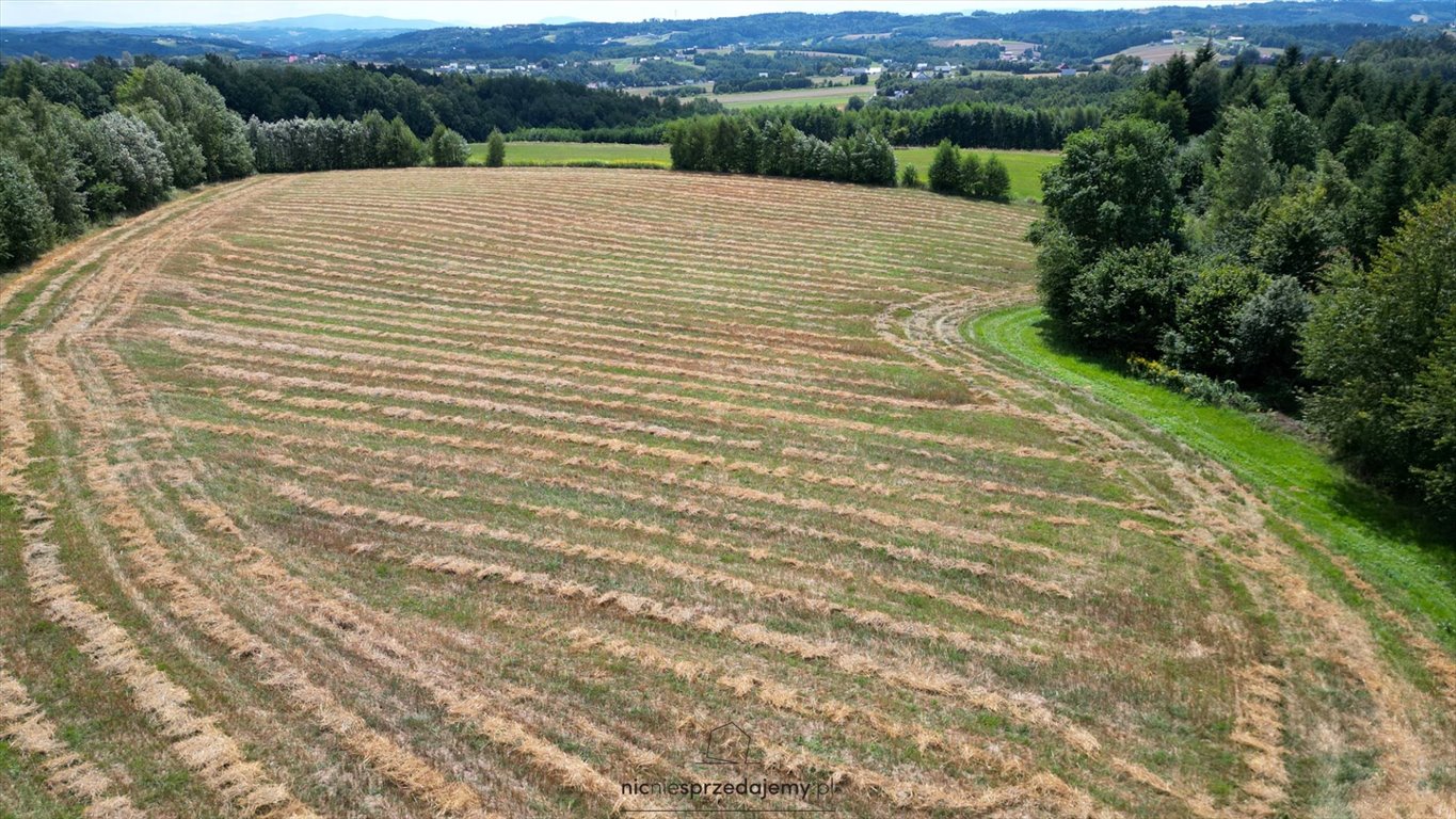 Działka budowlana na sprzedaż Gromnik, Siemiechów, Siemiechów, Siemiechów  1 025m2 Foto 3