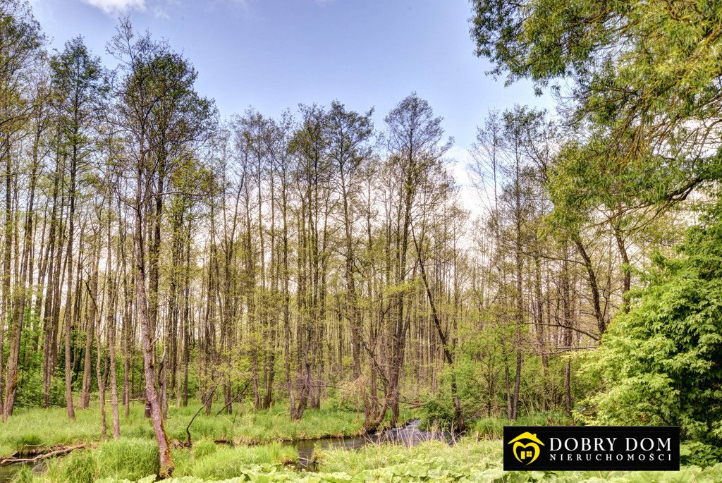 Działka budowlana na sprzedaż Suwałki  3 000m2 Foto 2