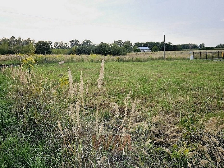 Działka budowlana na sprzedaż Grójec  830m2 Foto 4