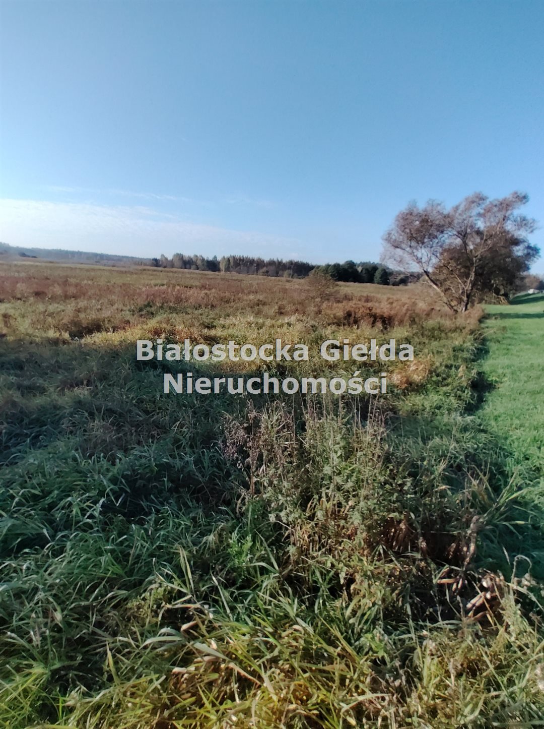 Działki pod zabudowę w Długochorzelach, 1206 m² każda Długochorzele  1 206m2 Foto 1