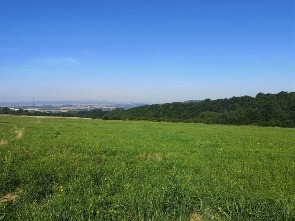 Działka inna na sprzedaż Kłodzko  1 000m2 Foto 4