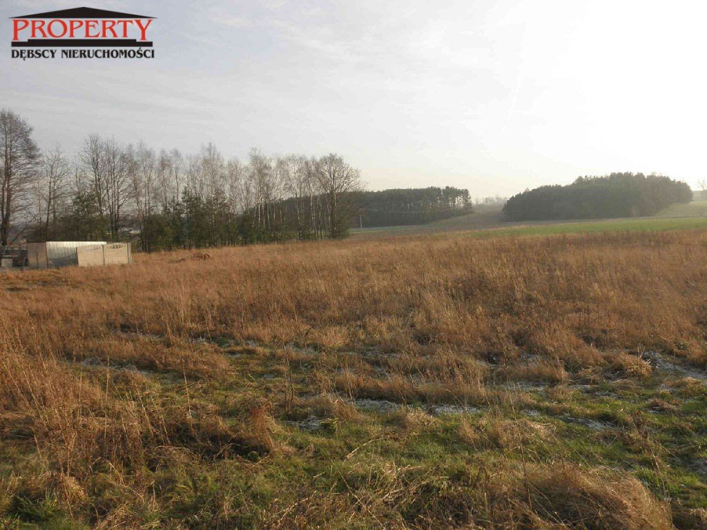 Działka budowlana na sprzedaż Zofiówka, ok. Zofiówki 1 256m2 Foto 1 Działka budowlana na sprzedaż Zofiówka, ok. Zofiówki 1 256m2 Foto 1