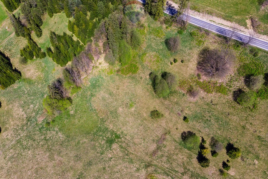 Działka rolna na sprzedaż Bukowina Tatrzańska  2 944m2 Foto 7