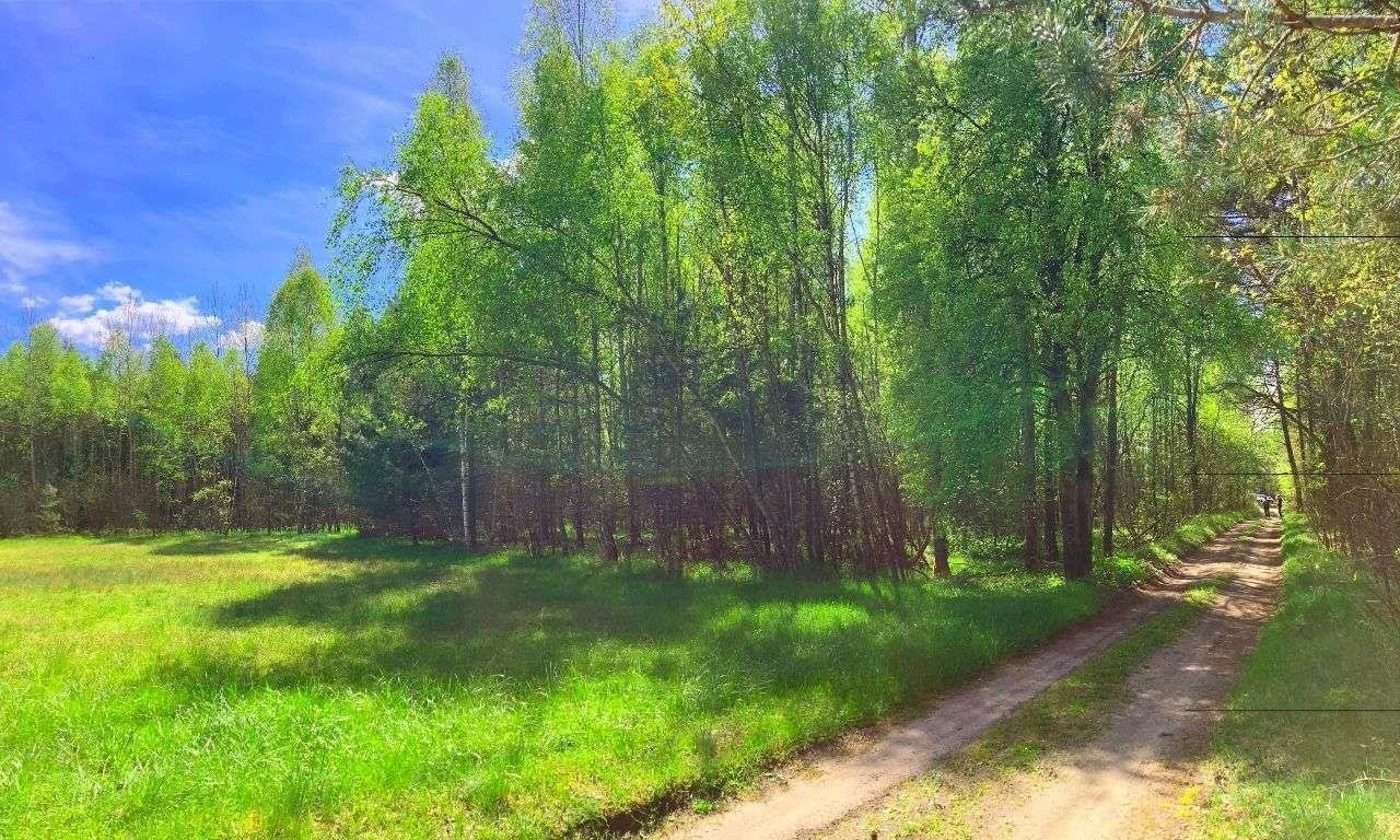 Działka inna na sprzedaż Smyków  3 600m2 Foto 2