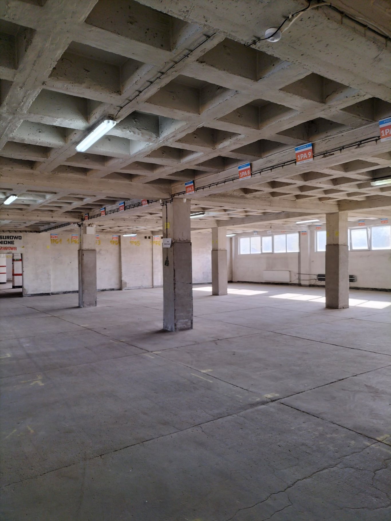 Magazyn 1175 m2 z rampą, parking, ochrona, Sosnowiec Sosnowiec, Pogoń, Ptasia 3  1 175m2 Foto 1