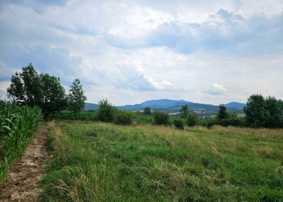 Działka leśna z pięknym widokiem na góry, Puńców Puńców  3 290m2 Foto 1