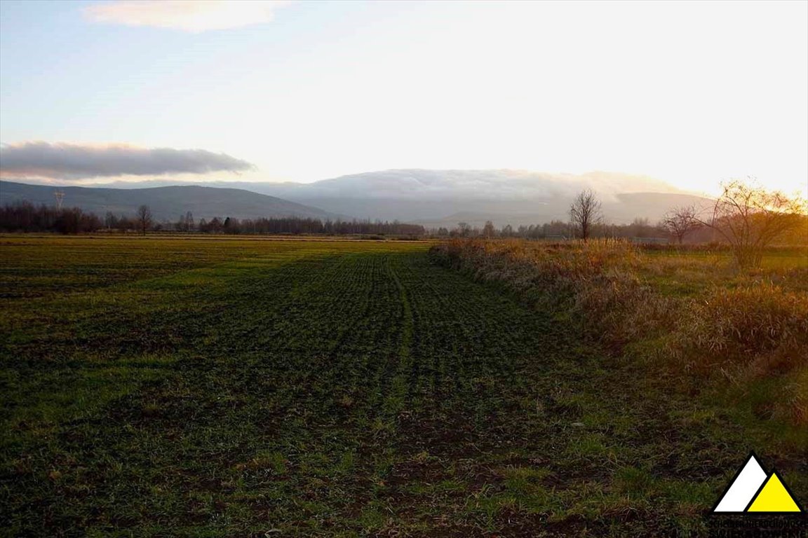 Działka budowlana na sprzedaż Mirsk  1 042m2 Foto 3