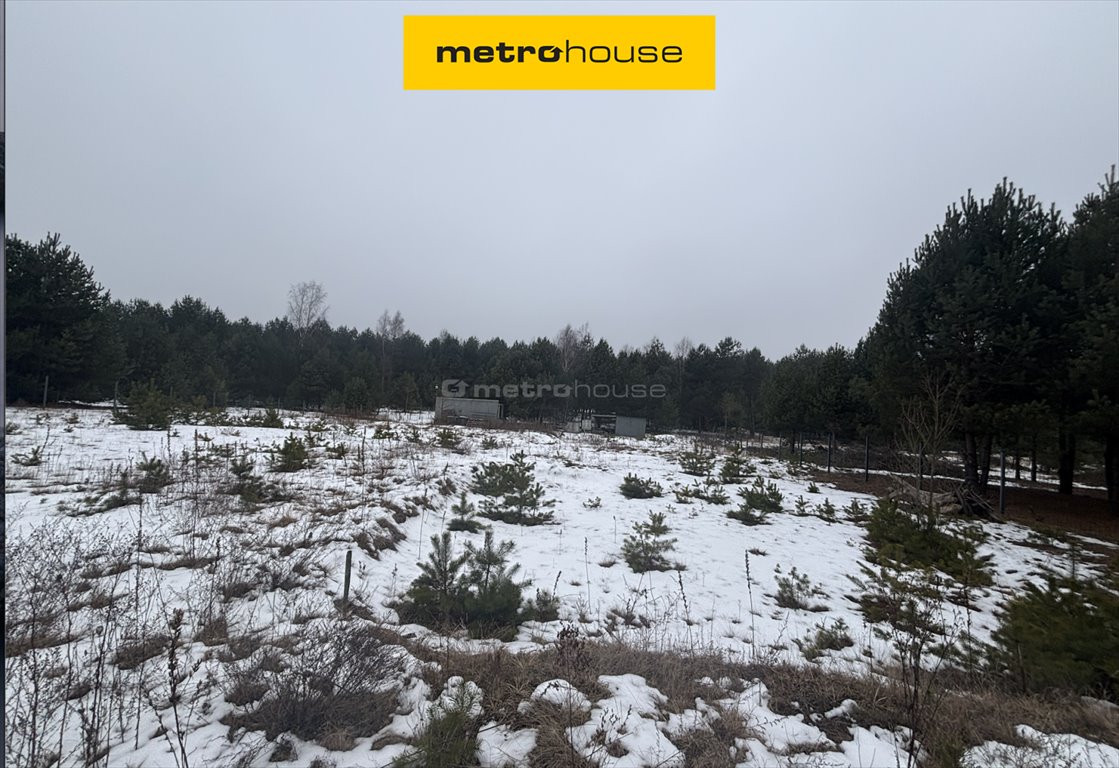 Działka 5220 m² z potencjałem, media, prywatność Pradła, Wyzwolenia  5 220m2 Foto 1