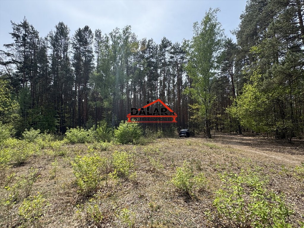 Sprzedam działkę leśną z prywatnością i klimatem w Kątach Kąty, Brzozowa  5 328m2 Foto 1