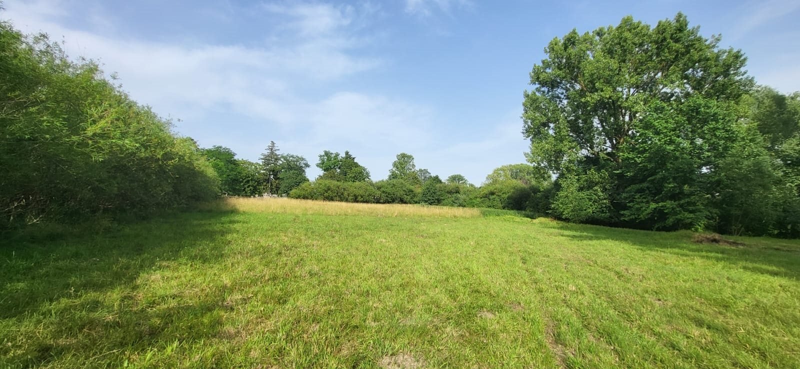 Działka inna na sprzedaż Strońsko  10 600m2 Foto 7