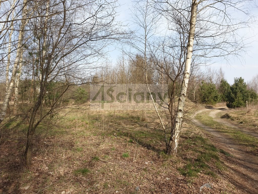 Działka pod dom z warunkami, prąd i woda, cicha okolica Zator  3 400m2 Foto 1