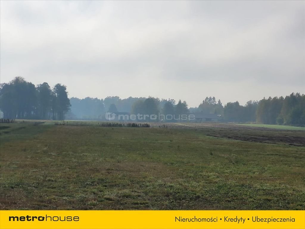 Działka inna na sprzedaż Mokre  4 850m2 Foto 2