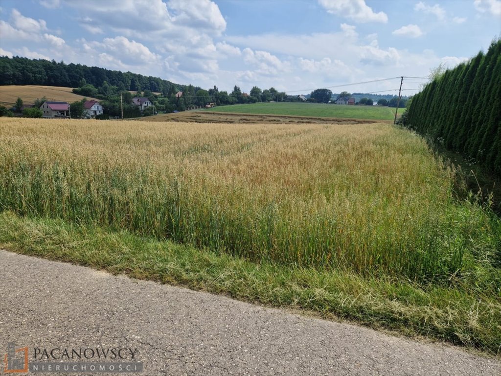 Działka budowlana na sprzedaż Zaborze  5 293m2 Foto 3