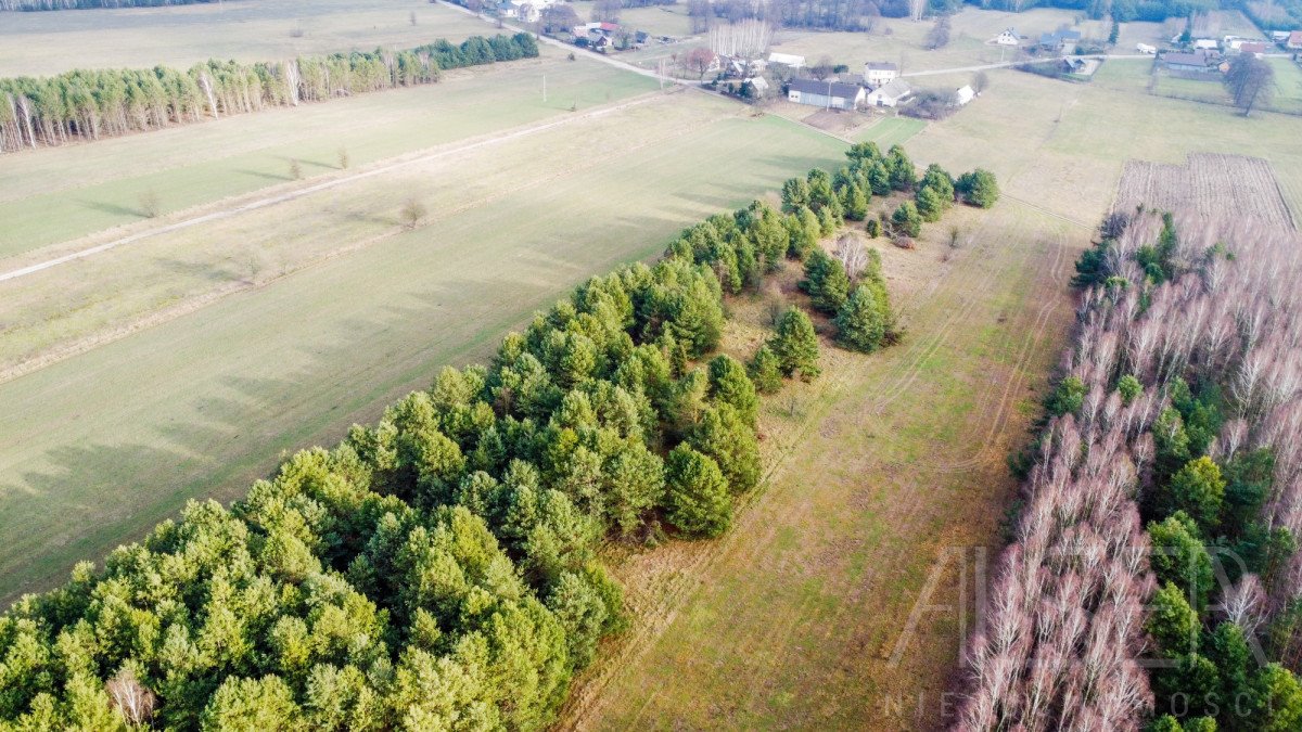 Działka rolna na sprzedaż Laskowizna  15 000m2 Foto 3