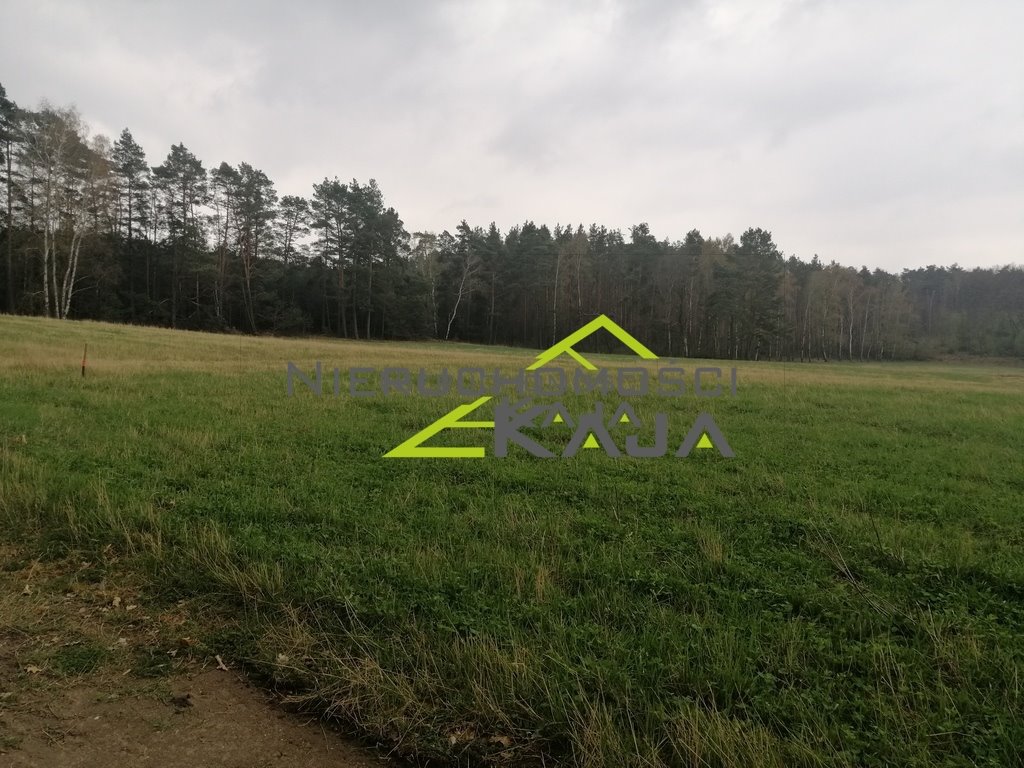 Działka budowlana na sprzedaż Grabowiec  3 008m2 Foto 12