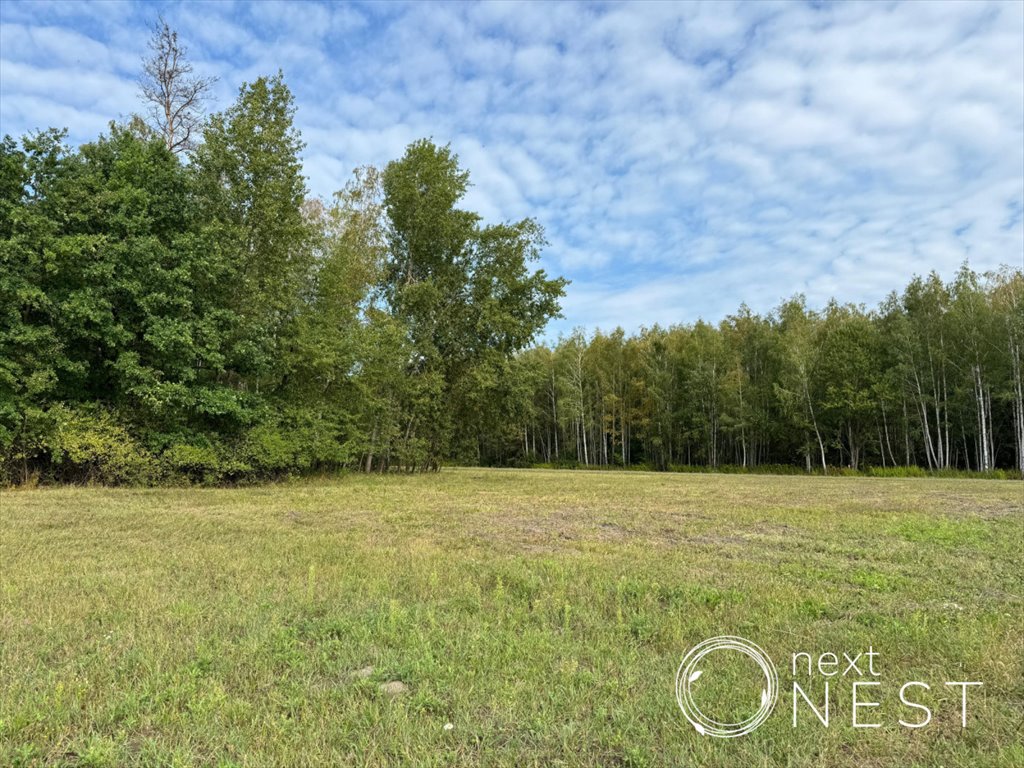 Działka budowlana na sprzedaż Grochowa  1 569m2 Foto 4