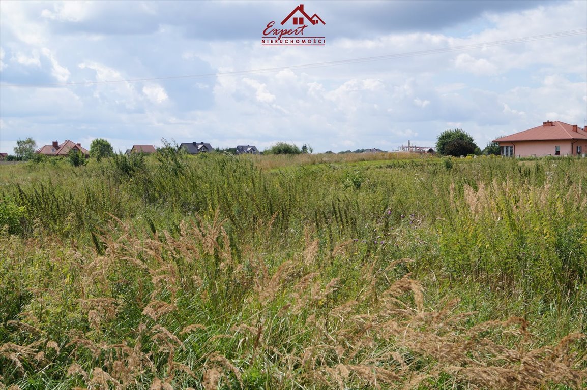 Działka budowlana na sprzedaż Iława  1 800m2 Foto 3