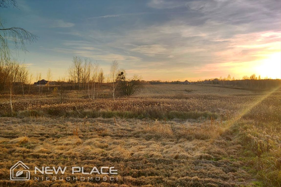 Działka budowlana na sprzedaż Wilkszyn, Wesoła  1 100m2 Foto 5