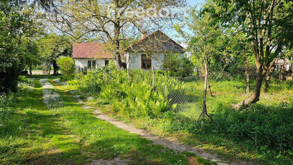 Działka rolna na sprzedaż Dorohusk, Wołyńska  55 700m2 Foto 1