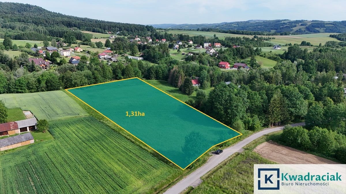 Działka rolna 1,31 ha z mediami i zabudową - polecam Krasna  13 100m2 Foto 1