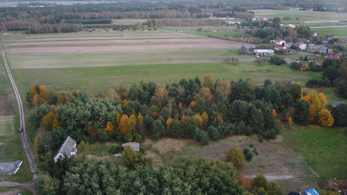 Działka budowlana na sprzedaż Cielętniki  13 500m2 Foto 6