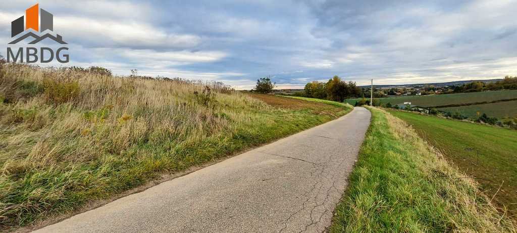 Działka rolna na sprzedaż Sieciechowice, Brzozowa  4 000m2 Foto 14