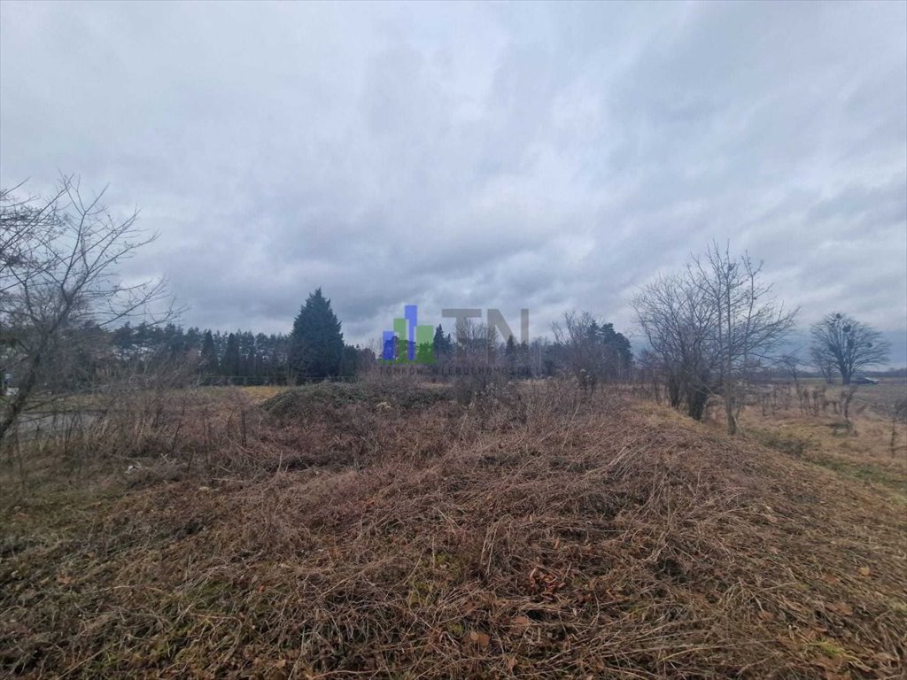 Działka rolna 16 400 m² w Ratowicach - polecam Ratowice  16 400m2 Foto 1