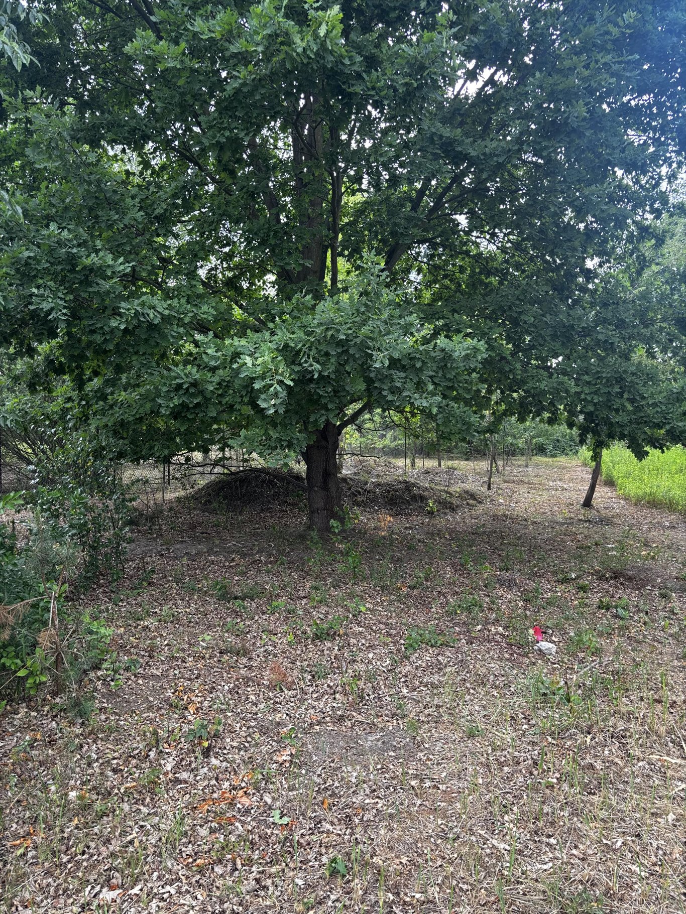 Działka 1065 m² pod zabudowę jednorodzinną, blisko budowy Borzęcin Duży  1 065m2 Foto 1