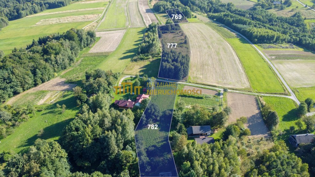 Działka budowlana na sprzedaż Białka  16 500m2 Foto 1