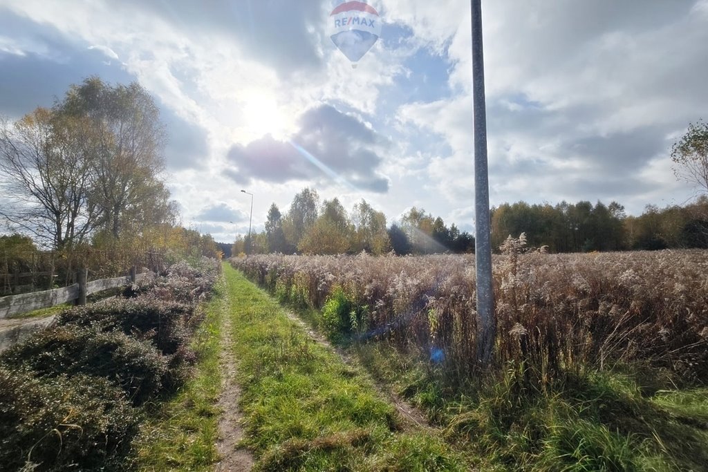 Działka budowlana na sprzedaż Klęk  4 283m2 Foto 2