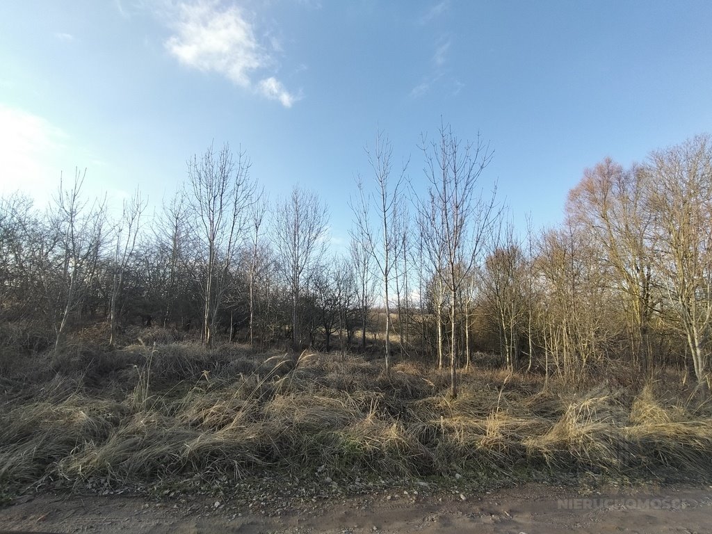 Działki budowlane w Siadle Dolnym z mediami i widokiem Siadło Dolne  1 110m2 Foto 1