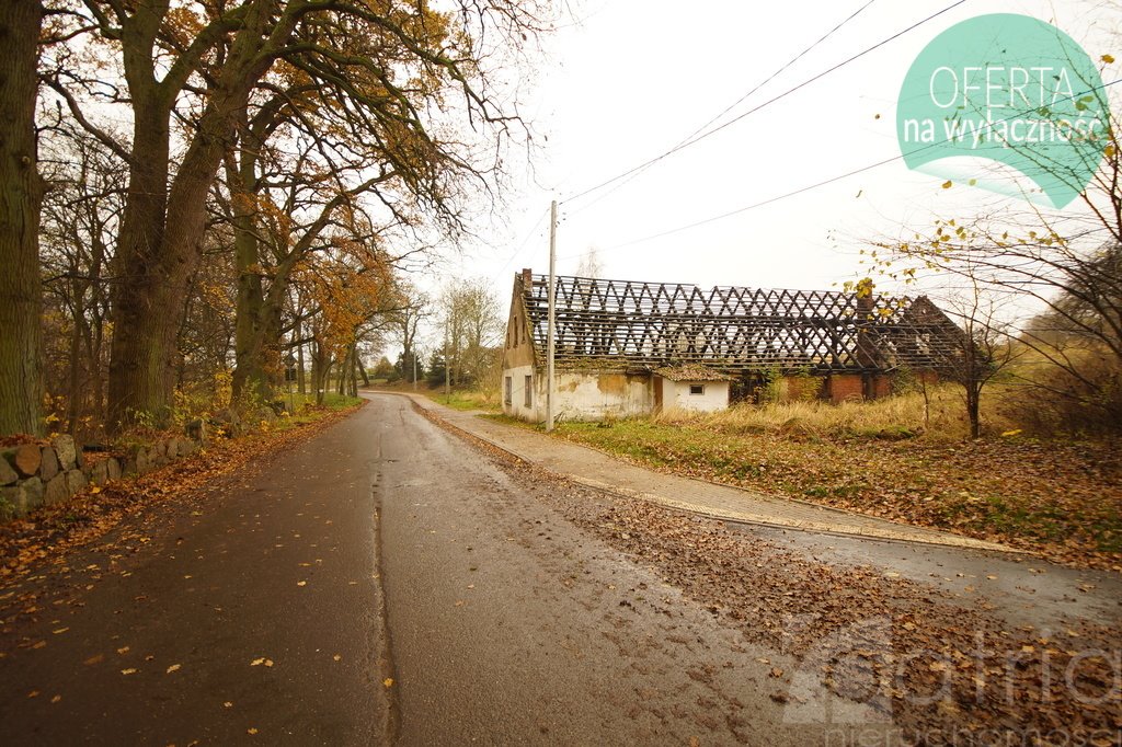 Urokliwa działka 8900 m² w Radzanku z budynkami i mediami Radzanek  8 900m2 Foto 1