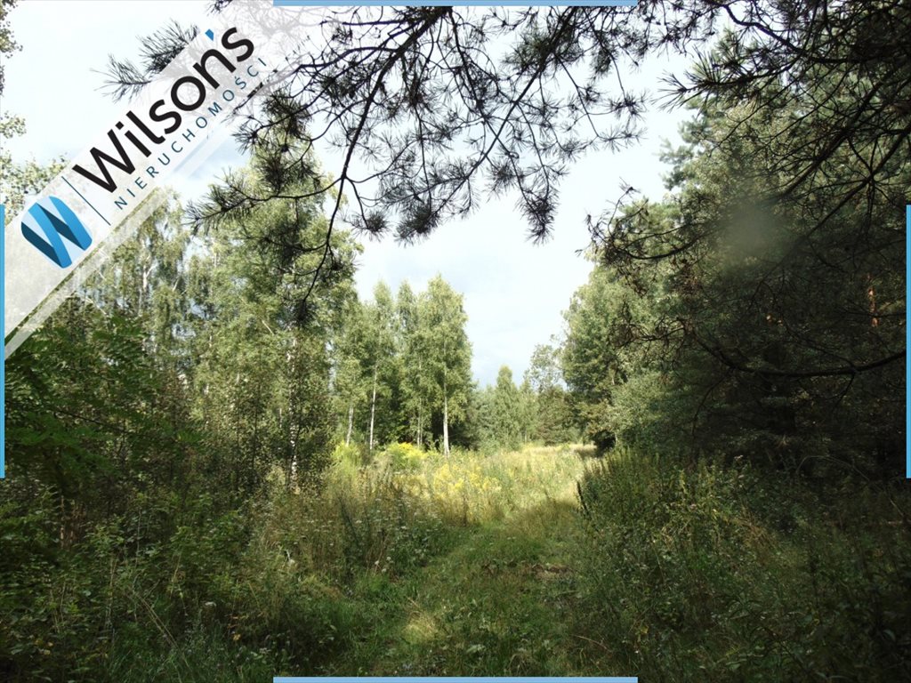 Działka budowlana na sprzedaż Pawłowice, Jodłowa 20 000m2 Foto 1 Działka budowlana na sprzedaż Pawłowice, Jodłowa 20 000m2 Foto 1