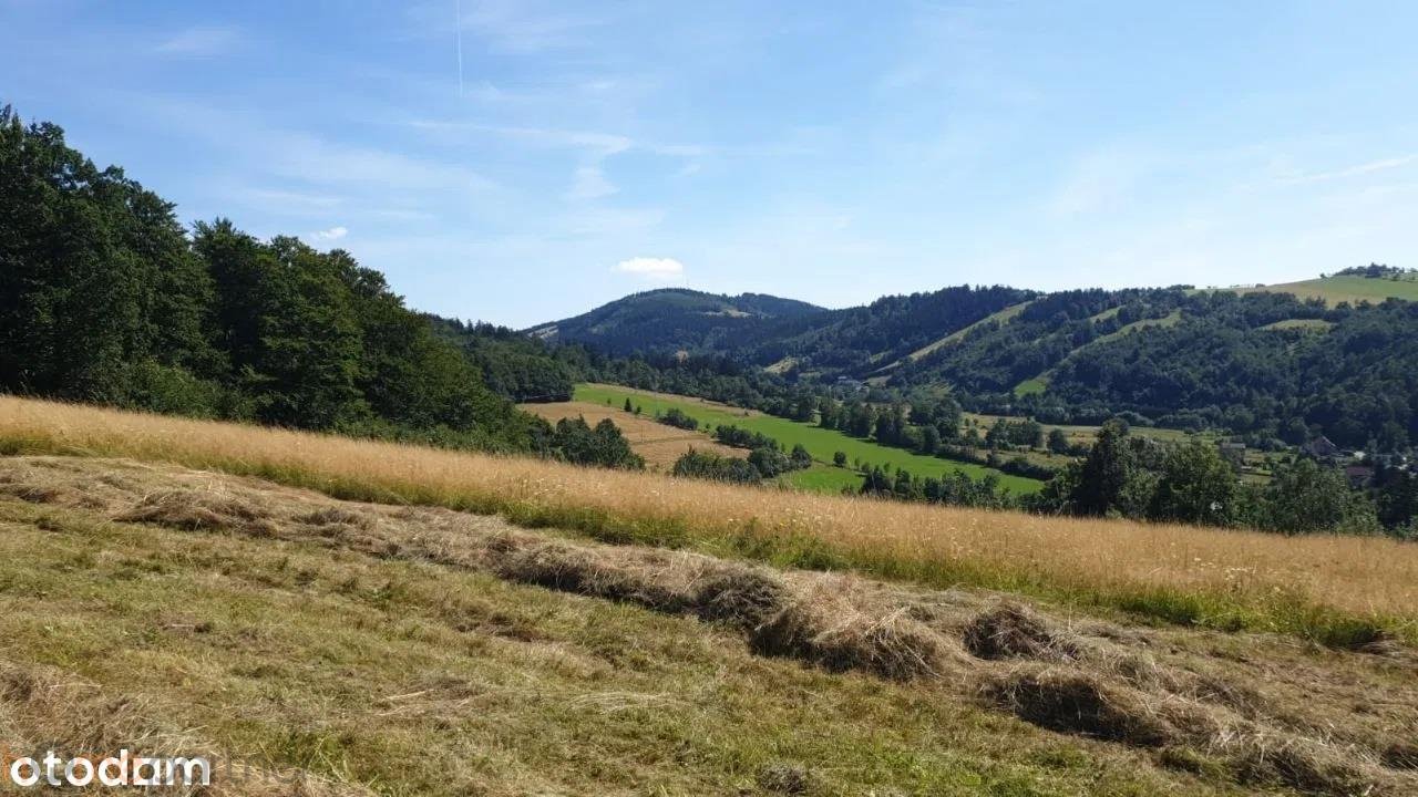 Działka rolna na sprzedaż Walim, Adama Mickiewicza  3 566m2 Foto 7