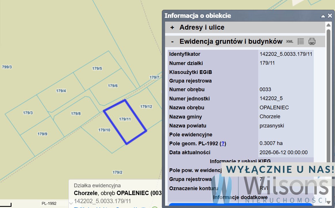 Działka rolna 3 010 m² z udziałem w drodze, inwestycja Opaleniec  3 007m2 Foto 1