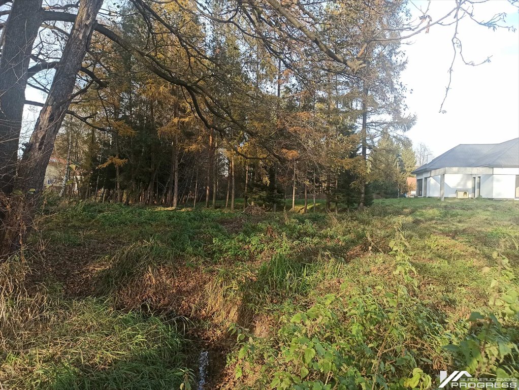 Działka budowlana na sprzedaż Krosno, Turaszówka, Klonowa  1 962m2 Foto 4