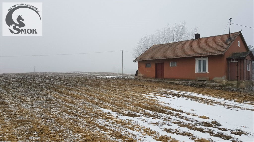 Działka budowlana na sprzedaż Januszowice 10 162m2 Foto 1 Działka budowlana na sprzedaż Januszowice 10 162m2 Foto 1